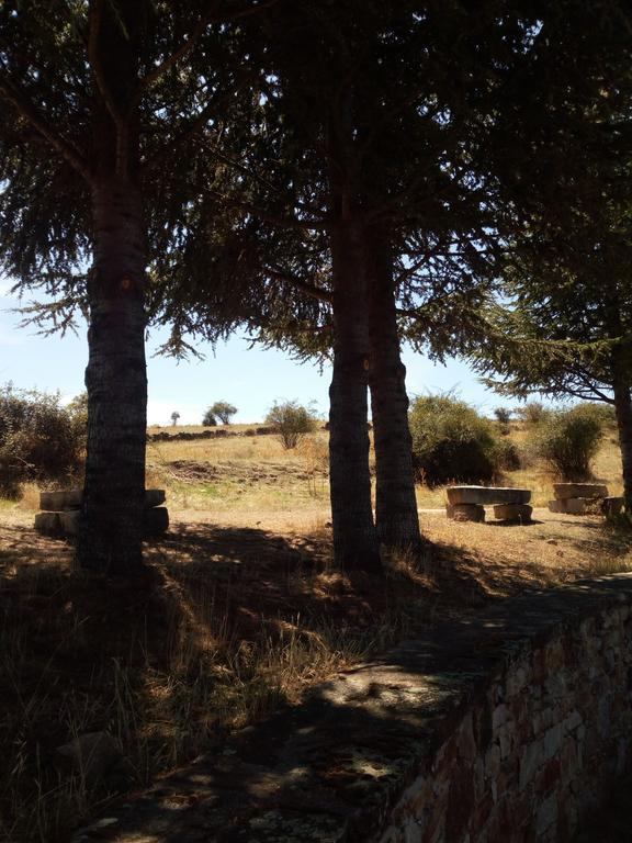 El Egio Guest House Cervera de Buitrago Bagian luar foto